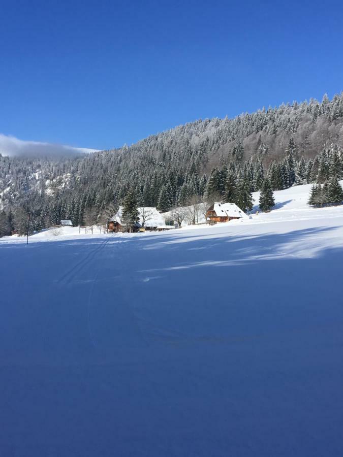 Chalet Breitnauschoen מראה חיצוני תמונה